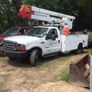 Lobo Tree Service - Stump Removal & Grinding