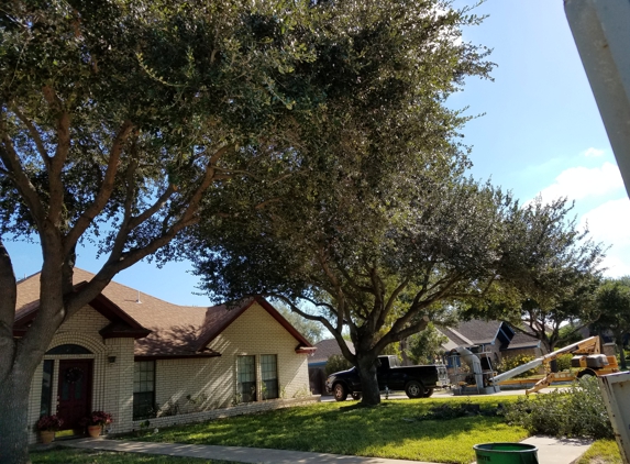 Carranza Tree Service - Mission, TX