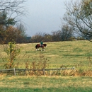TopLine Equestrian Center - Stables