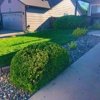 Central Colorado Tree Service gallery