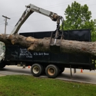 Reynolds Tree Service