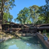 Miller Tree Service, Inc. gallery