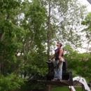 Olson  Tree Services, Incorporated - Stump Removal & Grinding