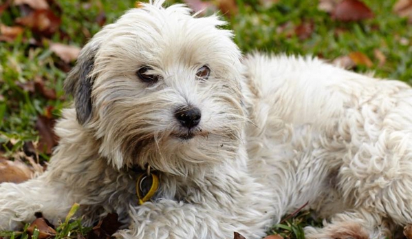 Maroondah Veterinary Clinic - Croydon, VIC