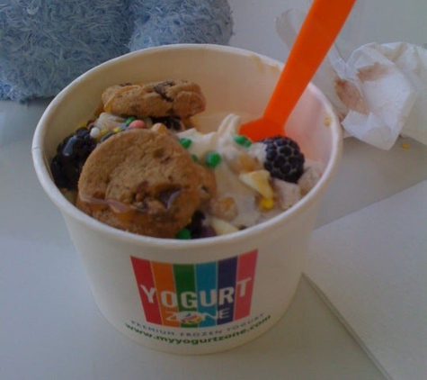 Yogurtzone - San Antonio, TX