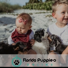 Florida Puppies Online