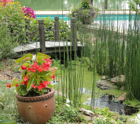 Carter's Nursery Pond & Patio - Jackson, TN