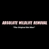 Absolute Wildlife Removal gallery
