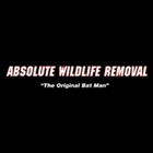 Absolute Wildlife Removal