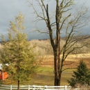 Stella's Barn and Boarding - Horse Stables