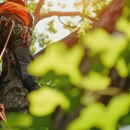 Greencare Tree Service - Tree Service