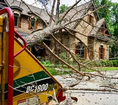 Smith's Tree Service - Marietta, GA