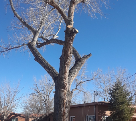 VJ Stars Tree Services - Albuquerque, NM