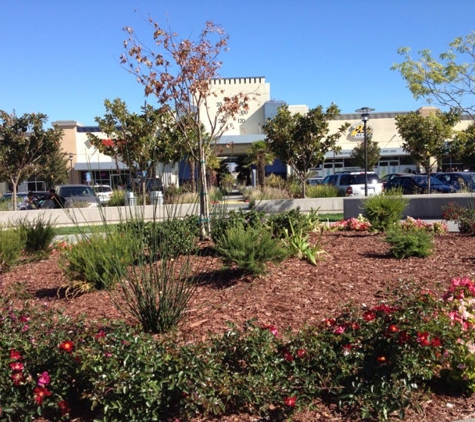 Plant Shopping Center - San Jose, CA