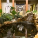 Tropaquatic Pond & Aquarium Specialists