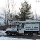 Sweet Tree Service - Tree Service