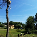 Zip’s Tree Service - Tree Service