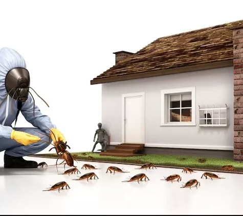 HiJ Building and Pest Inspection - West Hoxton, NSW