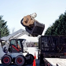 Cedar Rapids Tree Removal Services - Tree Service