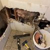 Experts Tampa Plumbing gallery