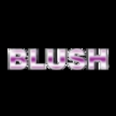 Blush Cleaning Services - Building Cleaners-Interior