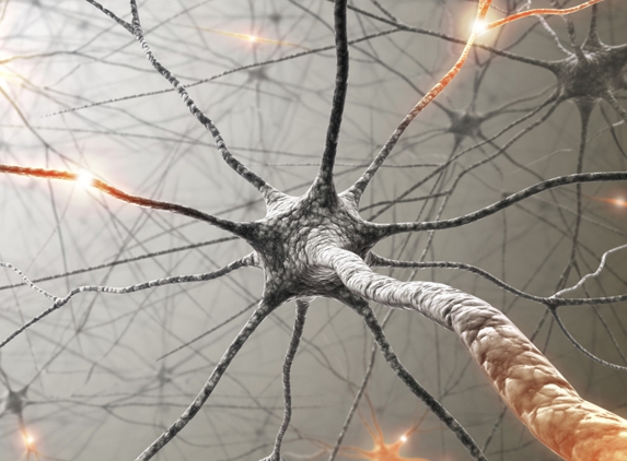 Serisier D E (Illawarra Neurological Services) - Wollongong, NSW. Friendly, Reliable, Prompt & Professional Services