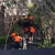 B & J Asphalting - Asphalt & Bitumen Paving