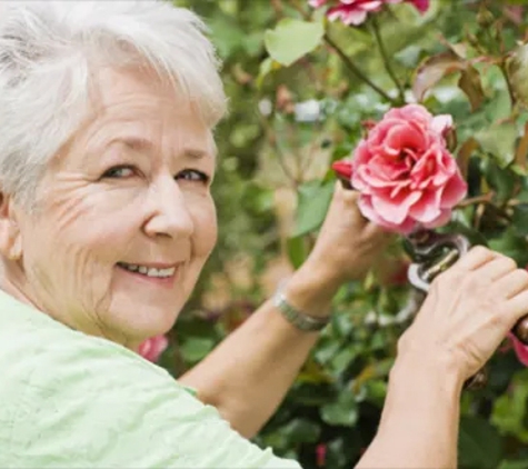 R & R Home Respite Services - Canberra City, ACT