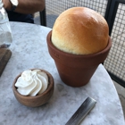 Terrain Cafe