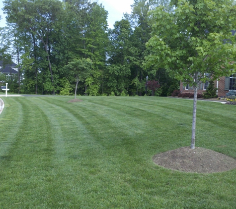 3 Sticks Lawn Care - Haymarket, VA