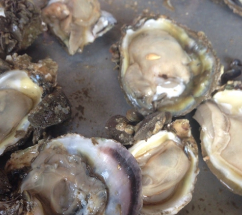 Hurricane Oyster Bar - Santa Rosa Beach, FL