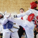 Shiba Taekwondo - Self Defense Instruction & Equipment