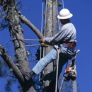 United Tree Service Incorporated