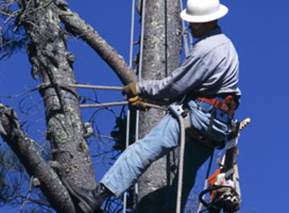 United Tree Service Incorporated