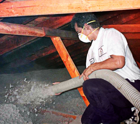 Payless Insulation - Houston, TX