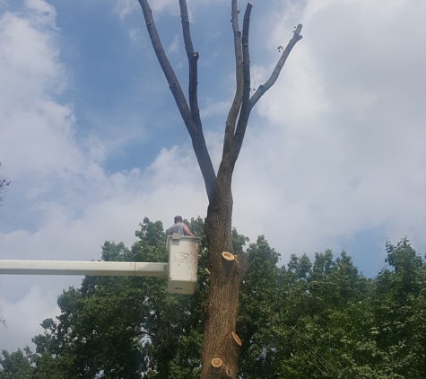 Layne Tree Experts LLC - Rosedale, IN