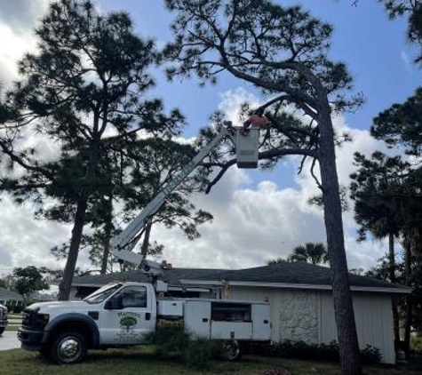 Harmoni Land & Tree Service - Wabasso, FL