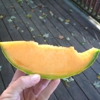 Hand Melon Farm gallery