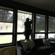 Majestic Window Cleaning & Pressure Washing