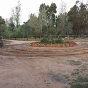 Gallery Image Number 6