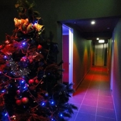 Gallery Image Number 2