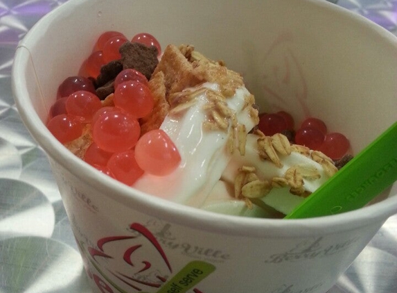 BerryVille's Frozen Yogurt - Deland, FL