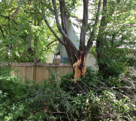 Adams Tree Services - St Leonards, TAS