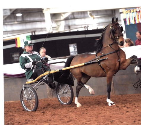 Wichita Riding Academy - Derby, KS