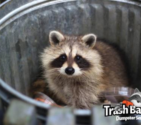 Trash Bandit Dumpsters - Randleman, NC