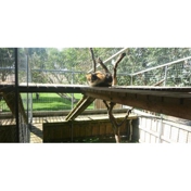 Gallery Image Number 3