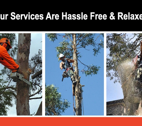 Wood FX - Slacks Creek, QLD. Our Services Are Hassle Free & Relaxed