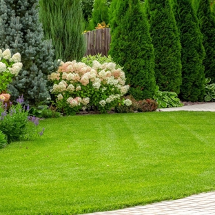 Precision Lawns - Dayton, TX