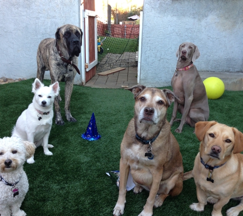 Home Away From Home K9 Care - San Diego, CA