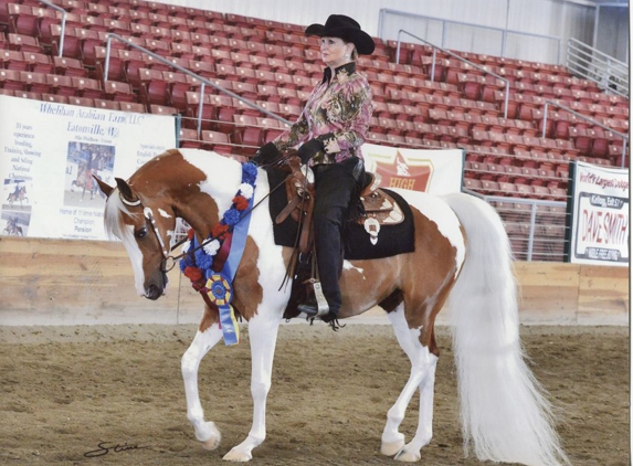 Countryside Equine Veterinary Service - Ridgefield, WA